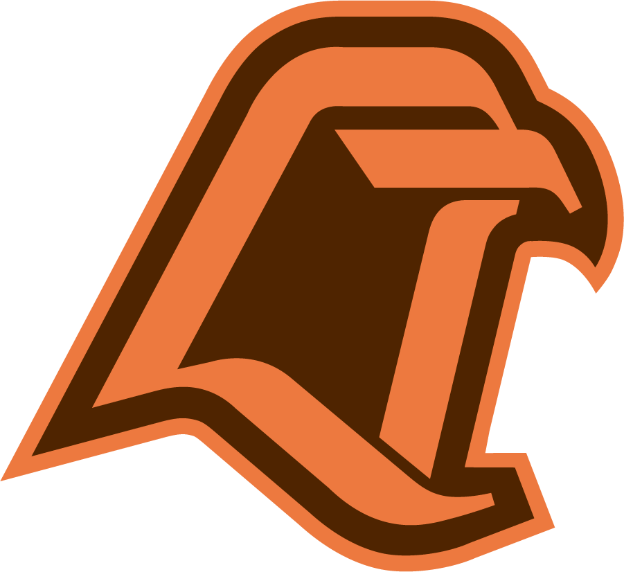 Bowling Green Falcons 2004-2007 Secondary Logo diy iron on heat transfer